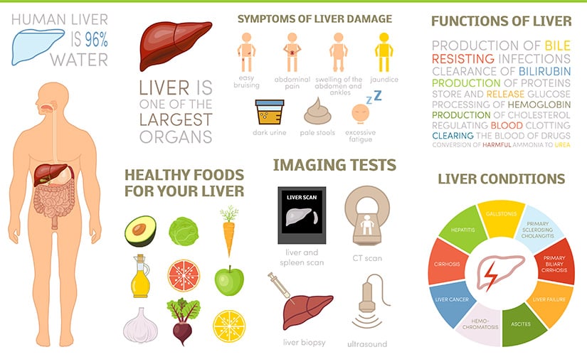 Liver detoxification for a healthy liver